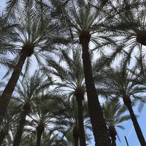 Meet your Posher, Shane